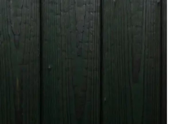 Dark Green charred timber finish